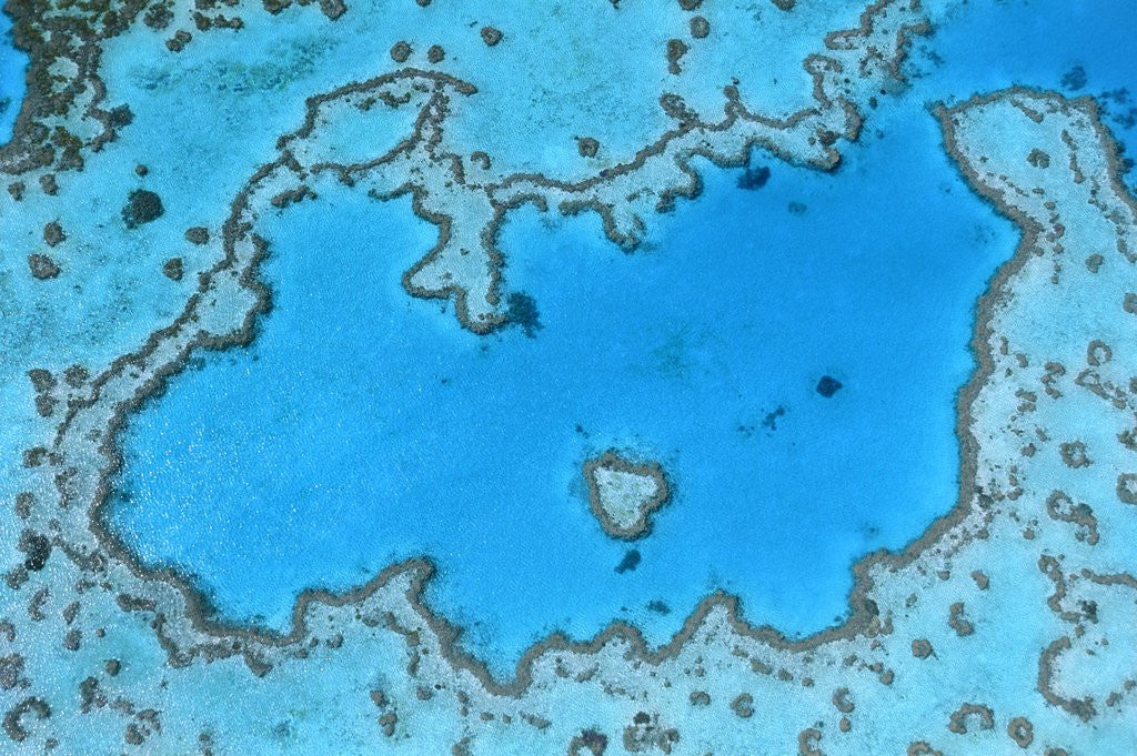 Detail of Aerial View of Great Barrier Reef by Anonymous