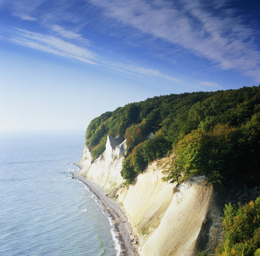 Detail of Rocky coastline in the Jasmund Nature Reserve, Ruegen, Mecklenburg-Vorpommern, Germany by Anonymous