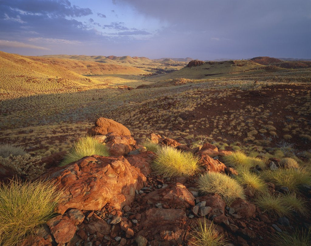 Detail of Sunrise in Millstream-Chichester National Park by Anonymous