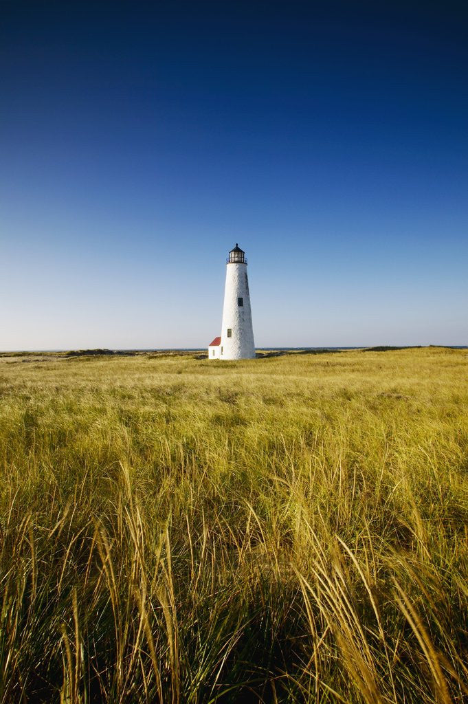 Detail of Great Point Lighthouse by Anonymous