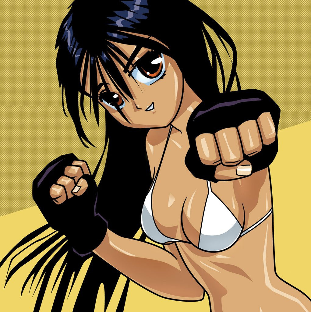 Detail of Anime Girl Fighter by Anonymous