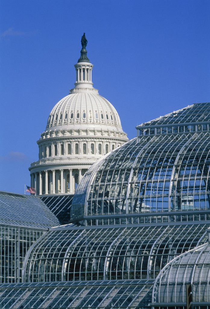 Detail of United States Botanic Garden Conservatory and Capitol, Washington DC, USA by Corbis
