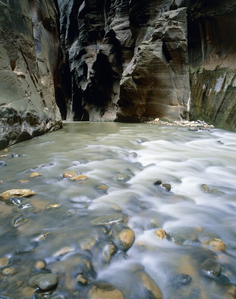 Detail of The Narrows, Zion National Park, Utah, USA by Anonymous