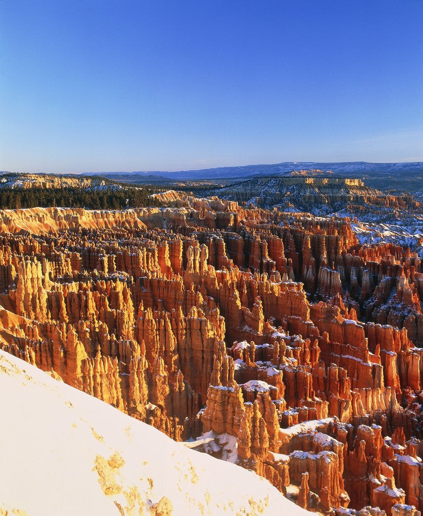 Detail of Bryce Canyon by Anonymous