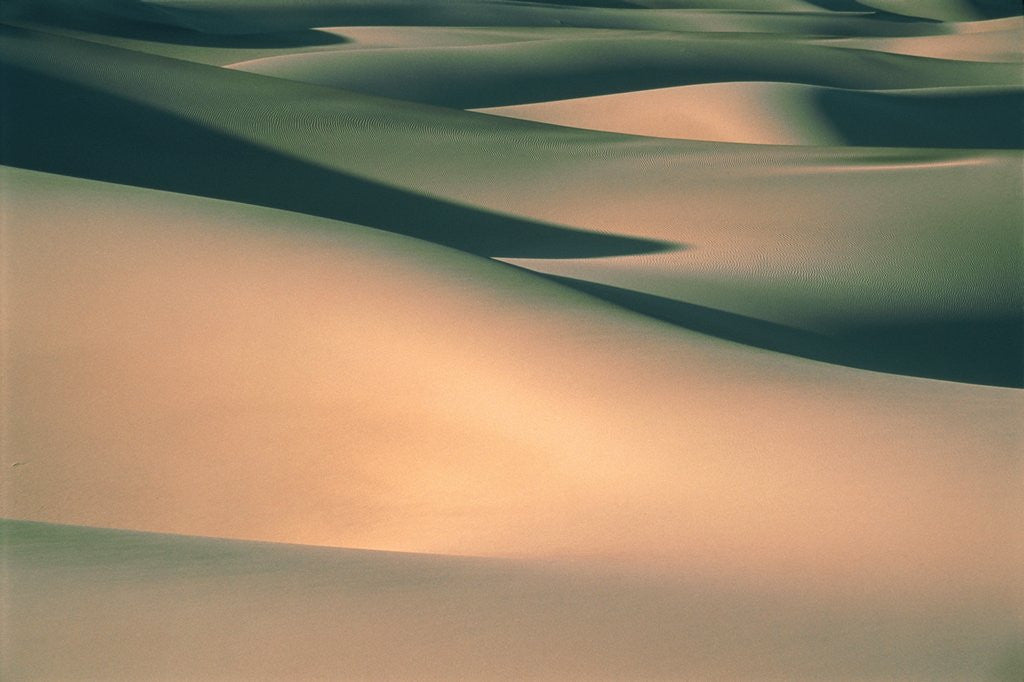 Detail of Dunes in the Death Valley, USA, Halbtotale by Anonymous