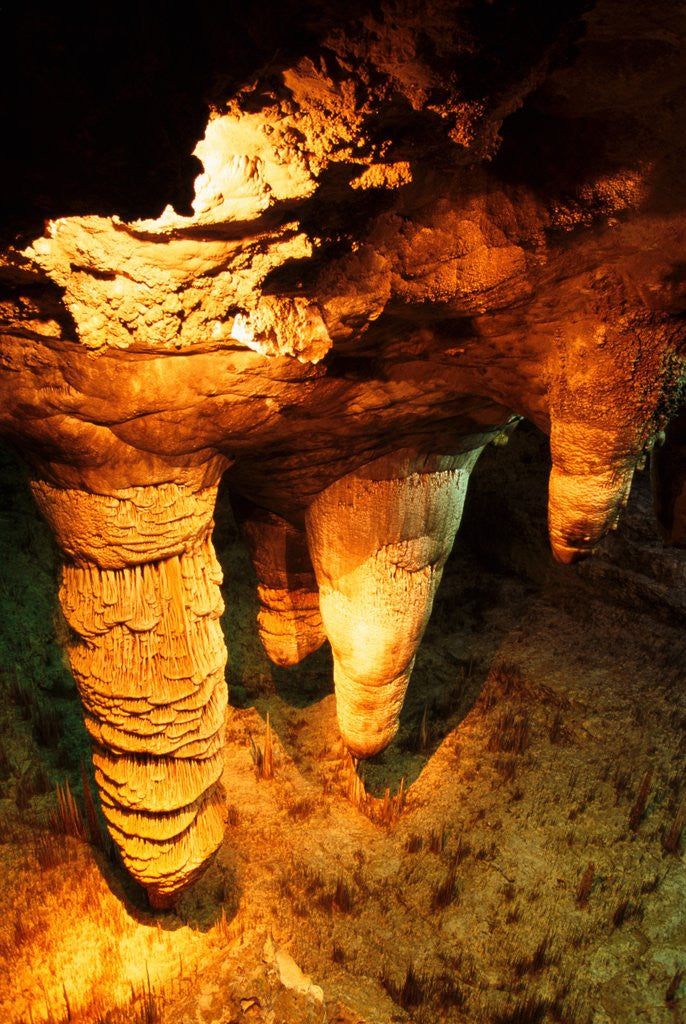 Detail of Carlsbad dripstone cave in New Mexico - USA by Anonymous