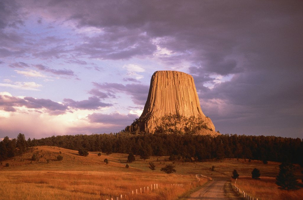 Detail of USA, Wyoming, Devils Tower National Monument by Anonymous