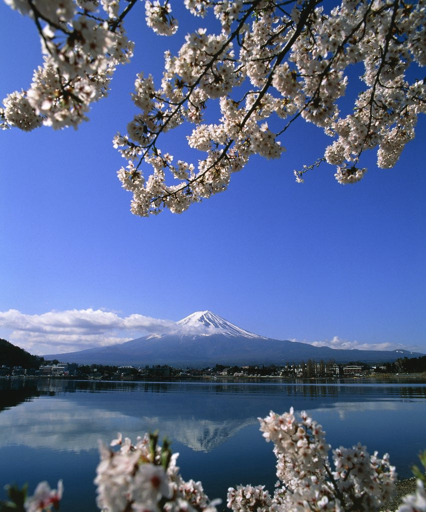 Detail of Japan: Mount Fuji and Lake Kawaguchi by Anonymous