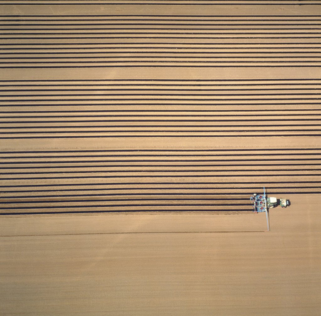 Detail of Aerial shot of a tractor cultivating by Anonymous