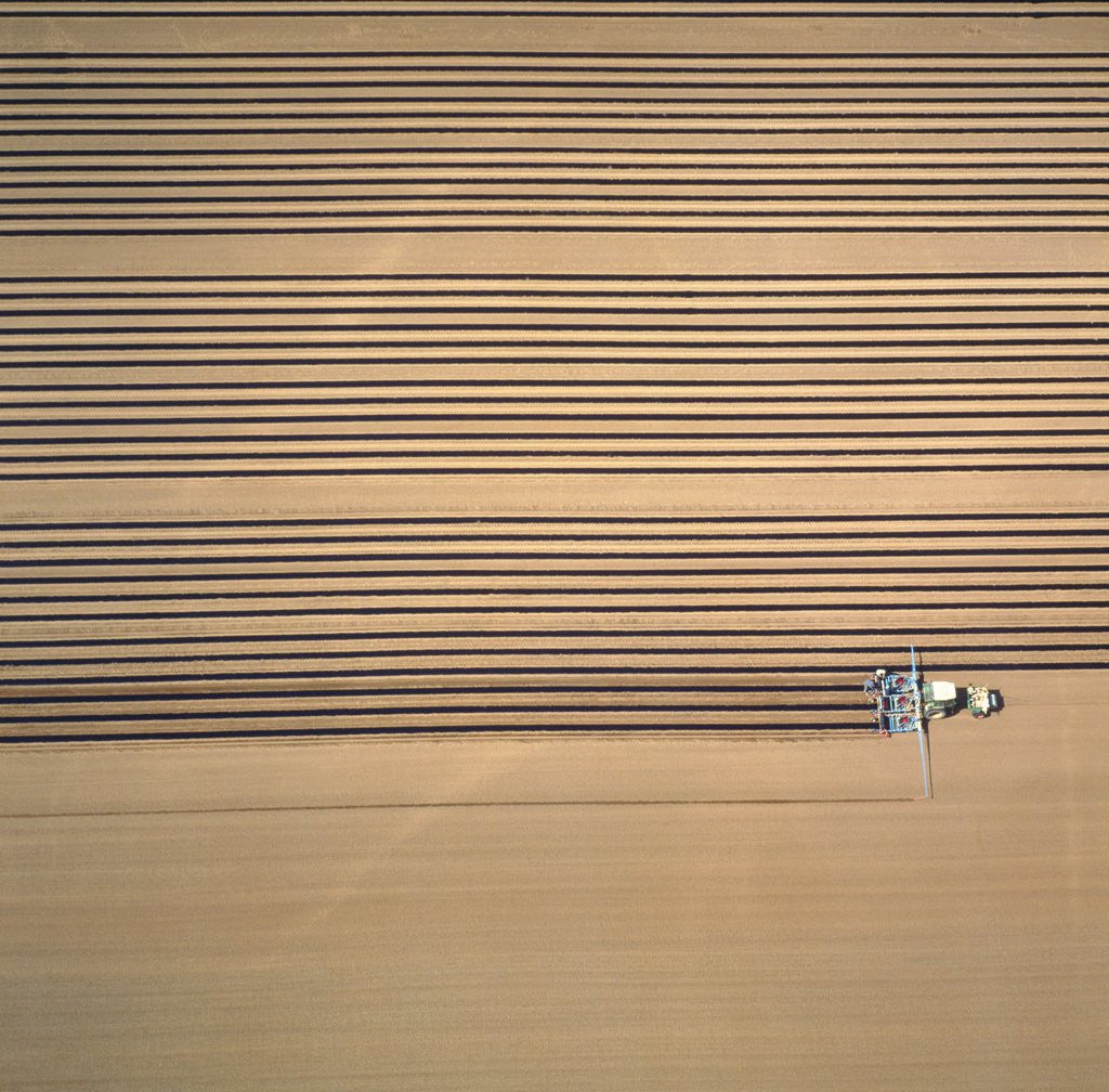 Detail of Aerial shot of a tractor cultivating by Corbis