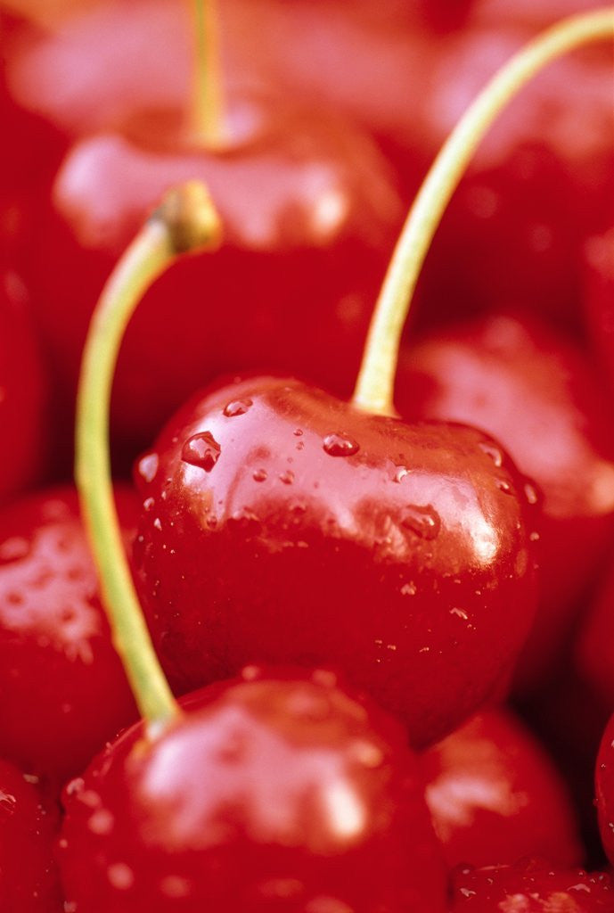 Detail of Cherrys by Corbis