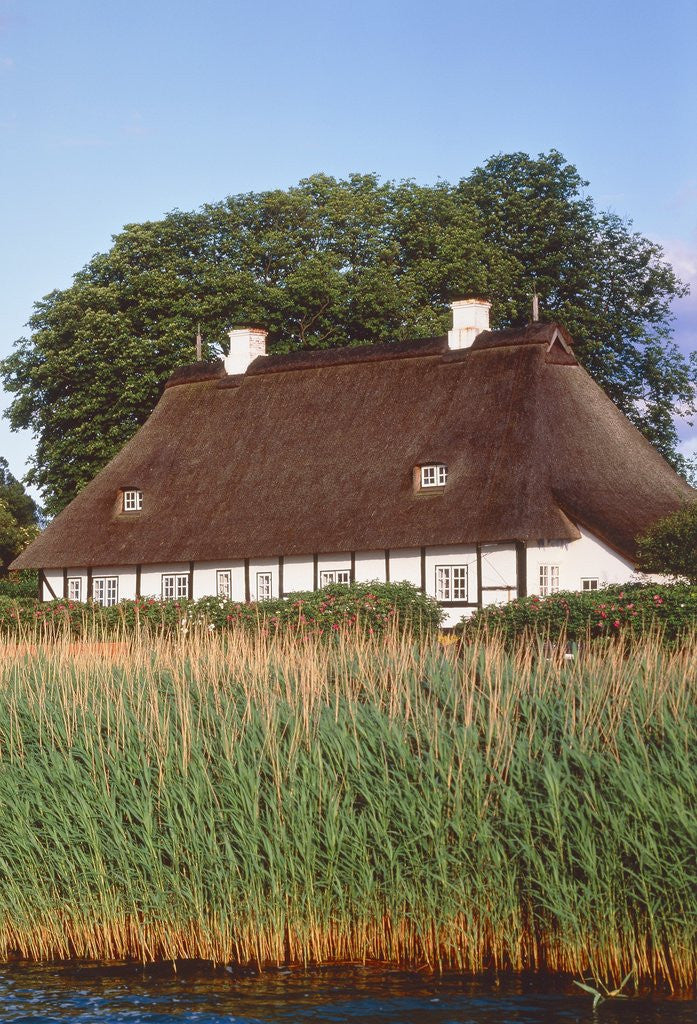 Detail of Half timbered house with reed roof by Anonymous