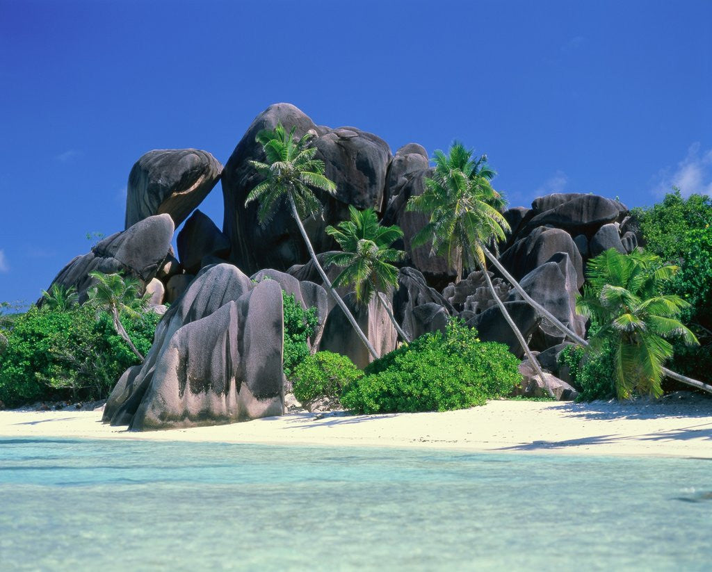 Detail of La Digue, Seychelles by Anonymous