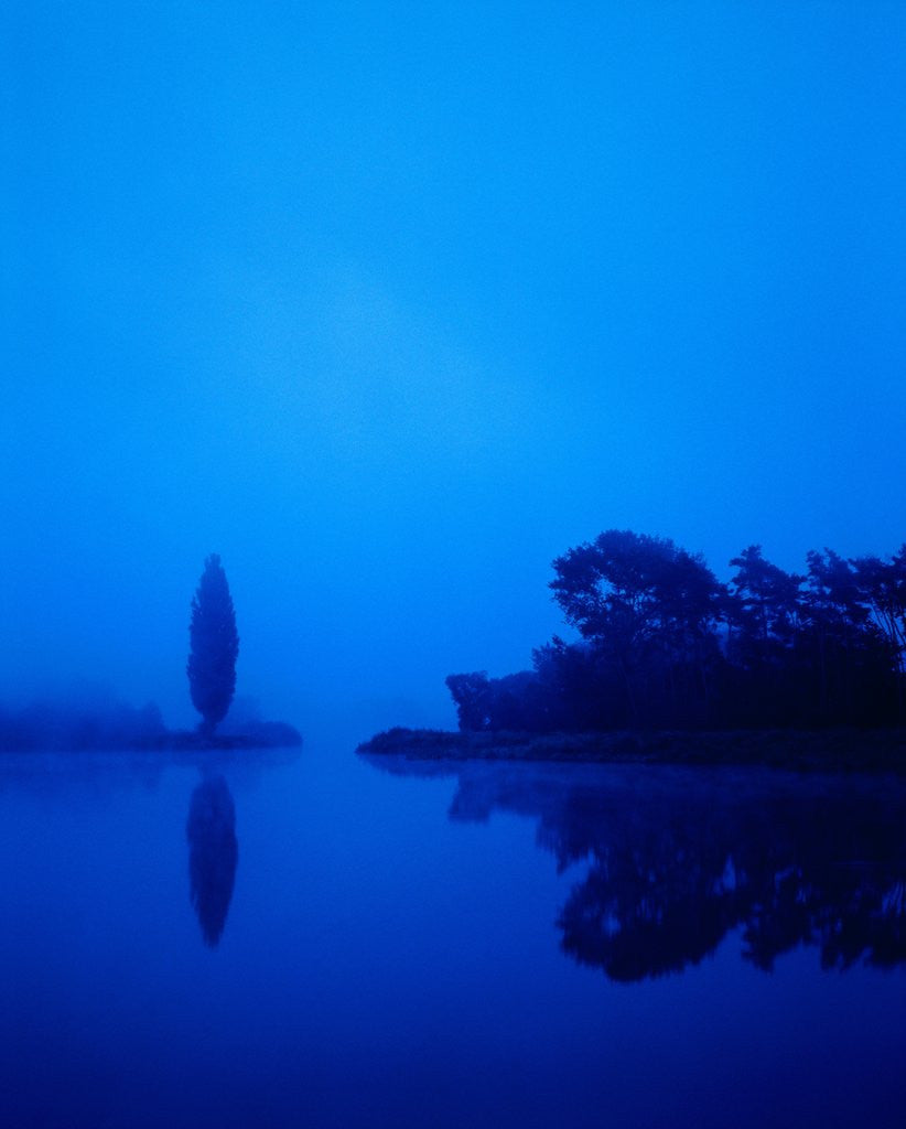 Detail of Landscape around a lake in the dawn by Anonymous