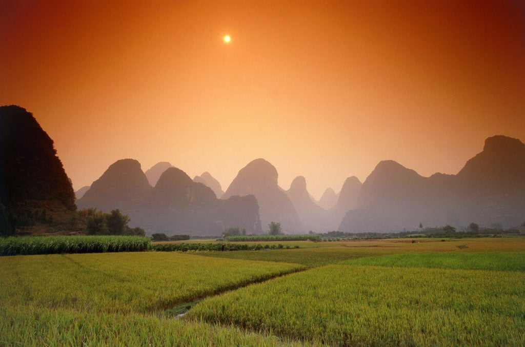 Detail of Rice fields an chalk mountains at twilight, Yangshou, Guangxi Province, China by Corbis