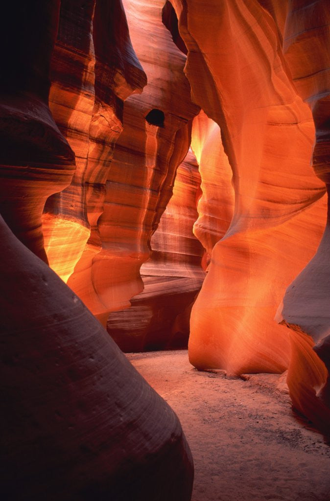 Detail of Antelope Canyon in Arizona - USA by Anonymous