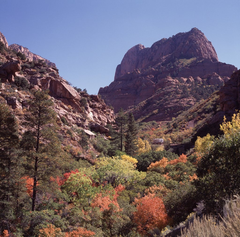 Detail of Kolob Canyon, Zion National Park, Utah, USA by Anonymous
