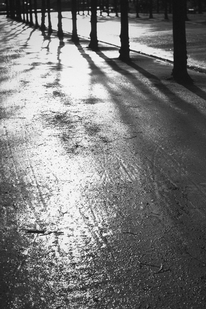 Detail of Sunlight reflecting on wet road by Anonymous