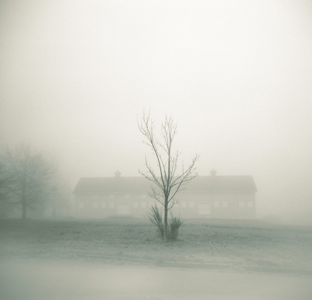 Detail of Foggy Morning Scene with Barn by Kevin Cruff