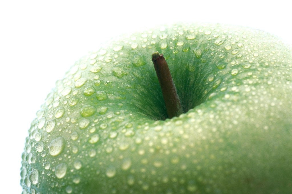 Detail of An apple by Anonymous