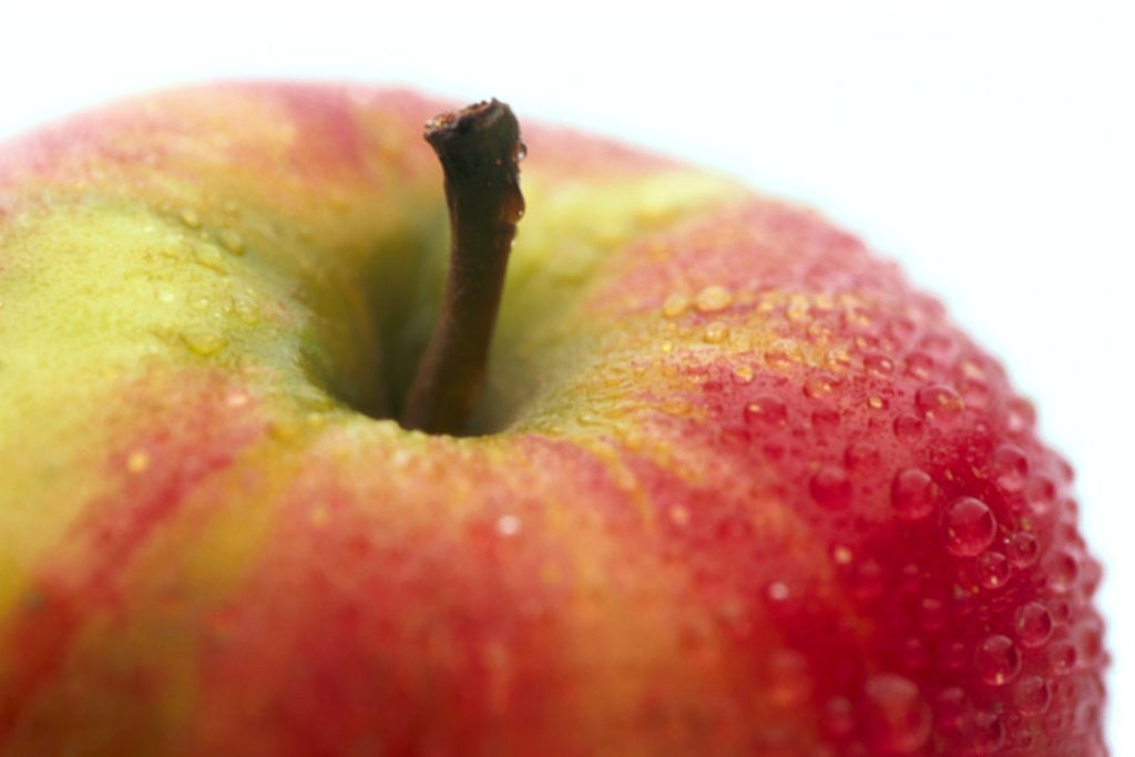 Detail of Apple and stem by Anonymous