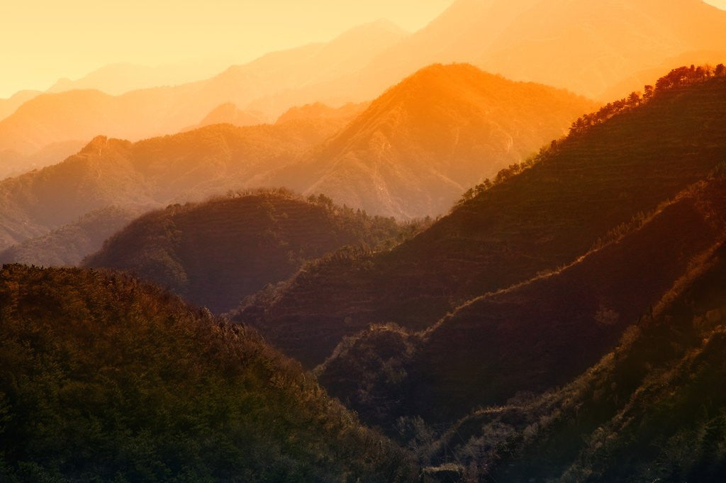Detail of Rolling Mountains near Beijing by Anonymous