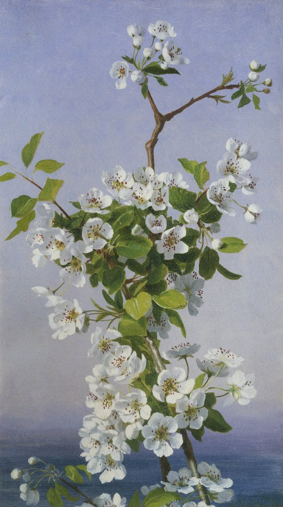 Detail of Blossom by Sophie Anderson