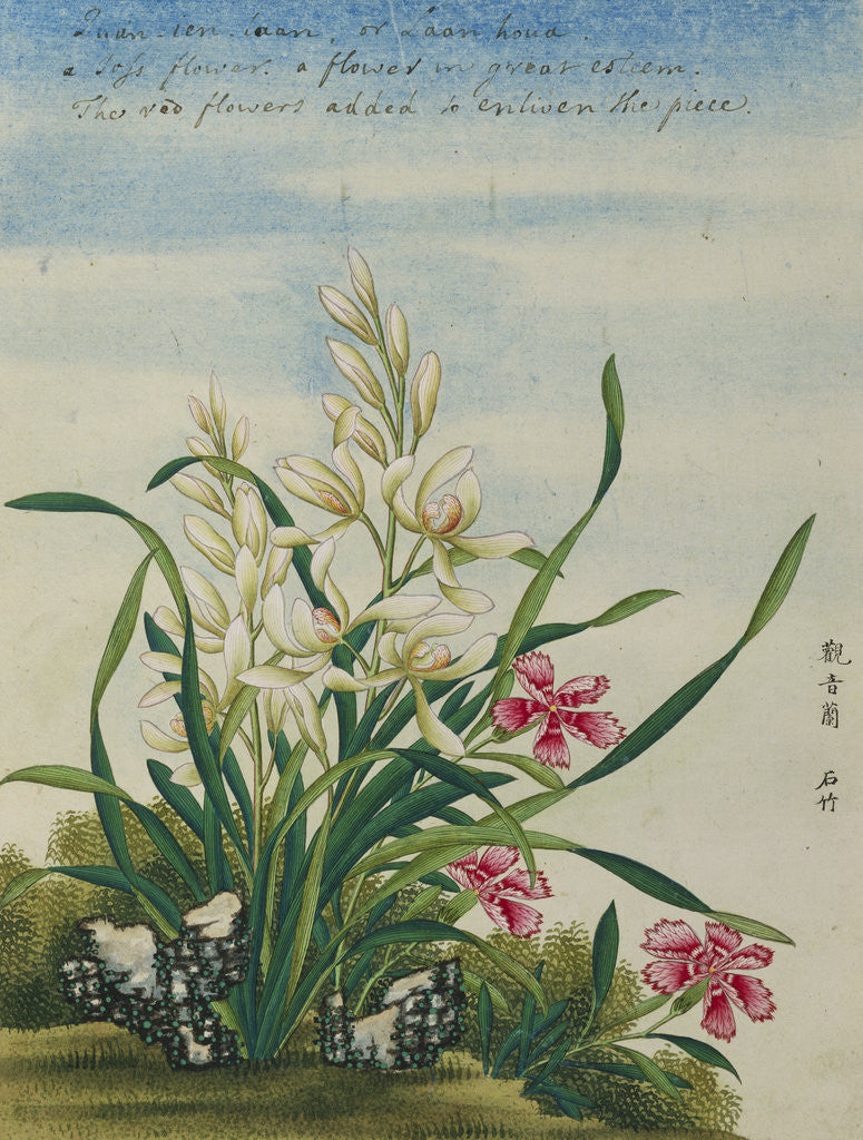 Detail of A Joss Flower, A Flower in Great Esteem Chinese Watercolor by Anonymous
