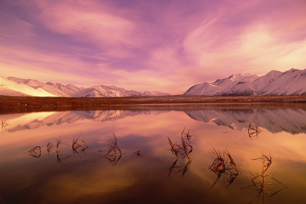 Detail of Brooks Range Reflecting in Pond, Alaska by Anonymous