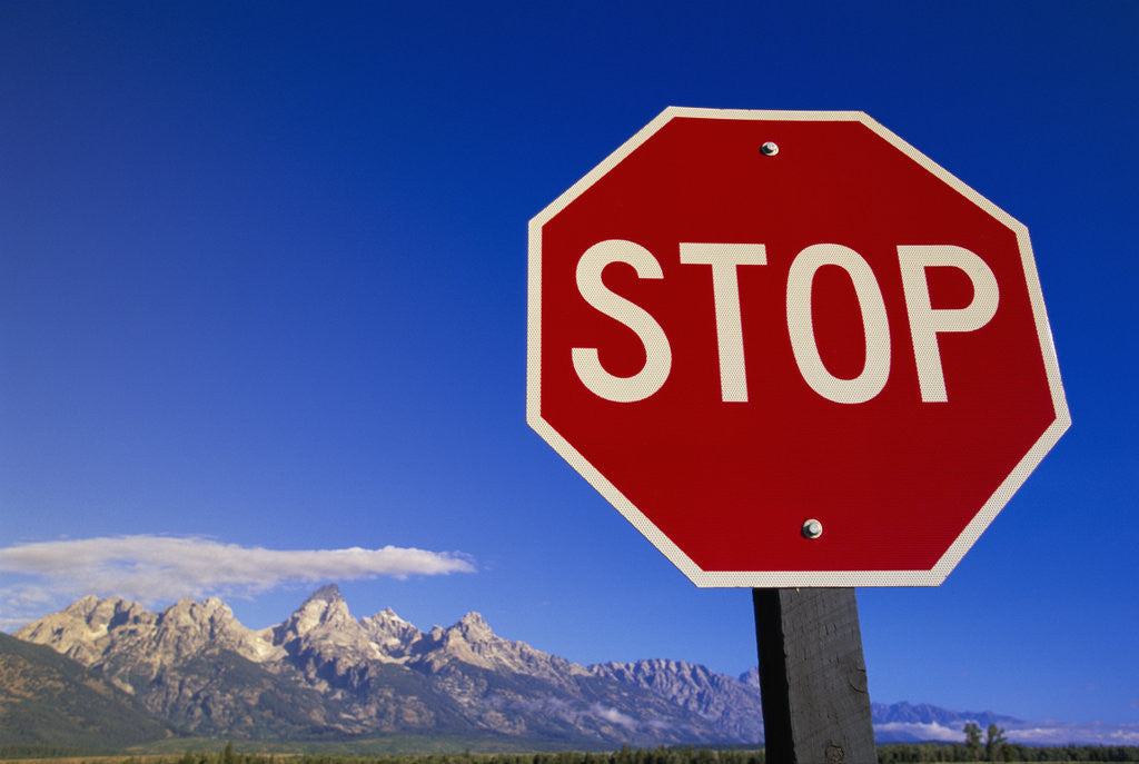 Detail of Stop Sign Near Teton Range, Wyoming by Anonymous