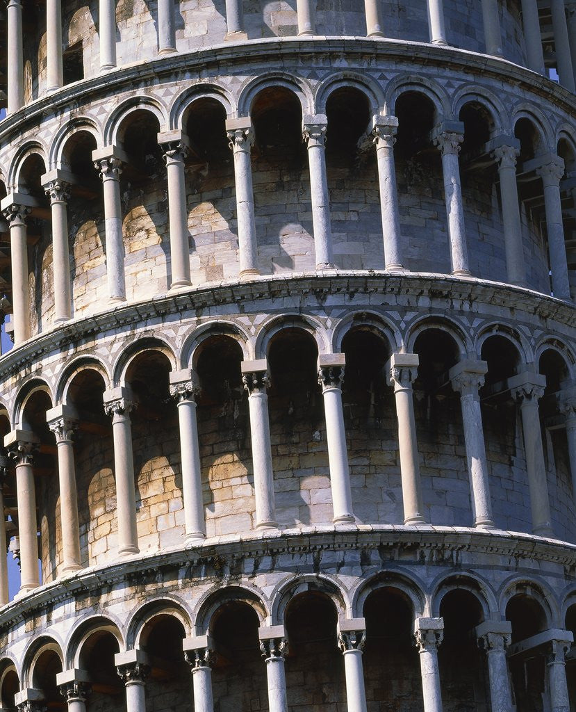 Detail of Leaning tower of Pisa (Italy) by Anonymous