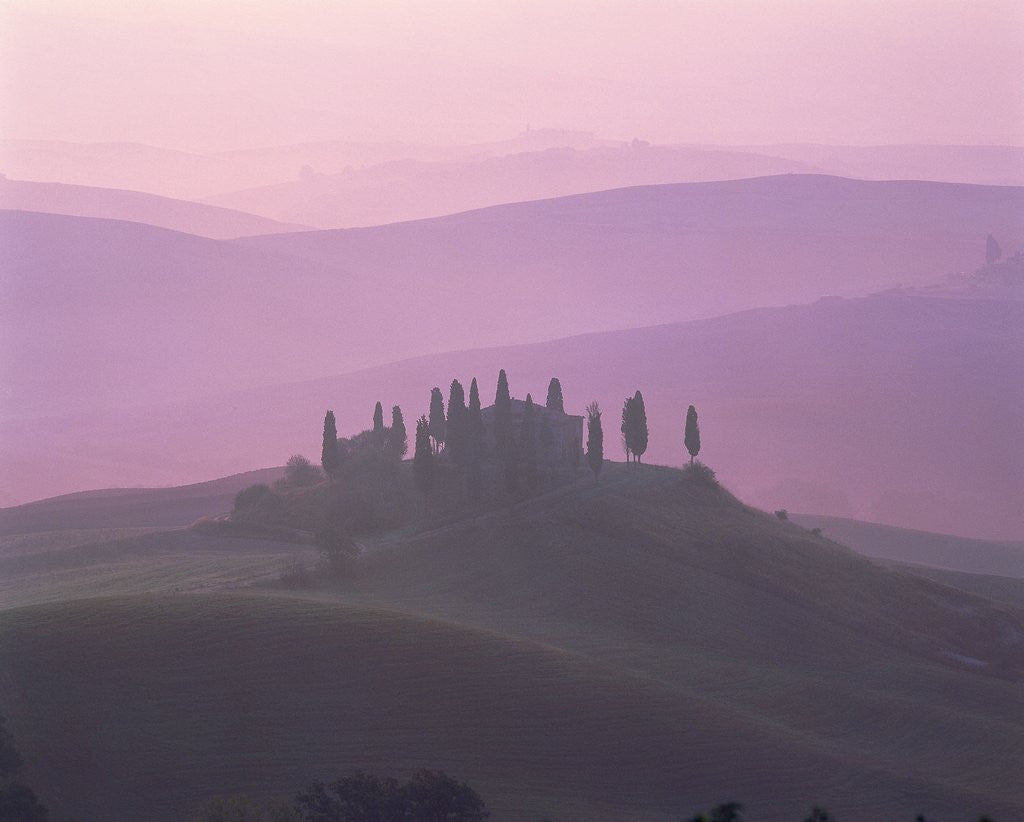 Detail of House at dawn in the Tuscany by Anonymous