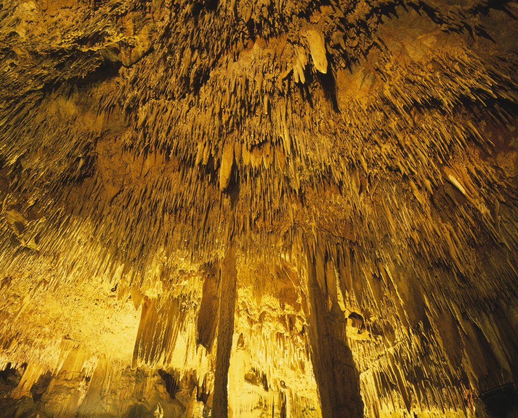 Detail of Stalactities on Ceiling of Damlatas Cavern by Anonymous