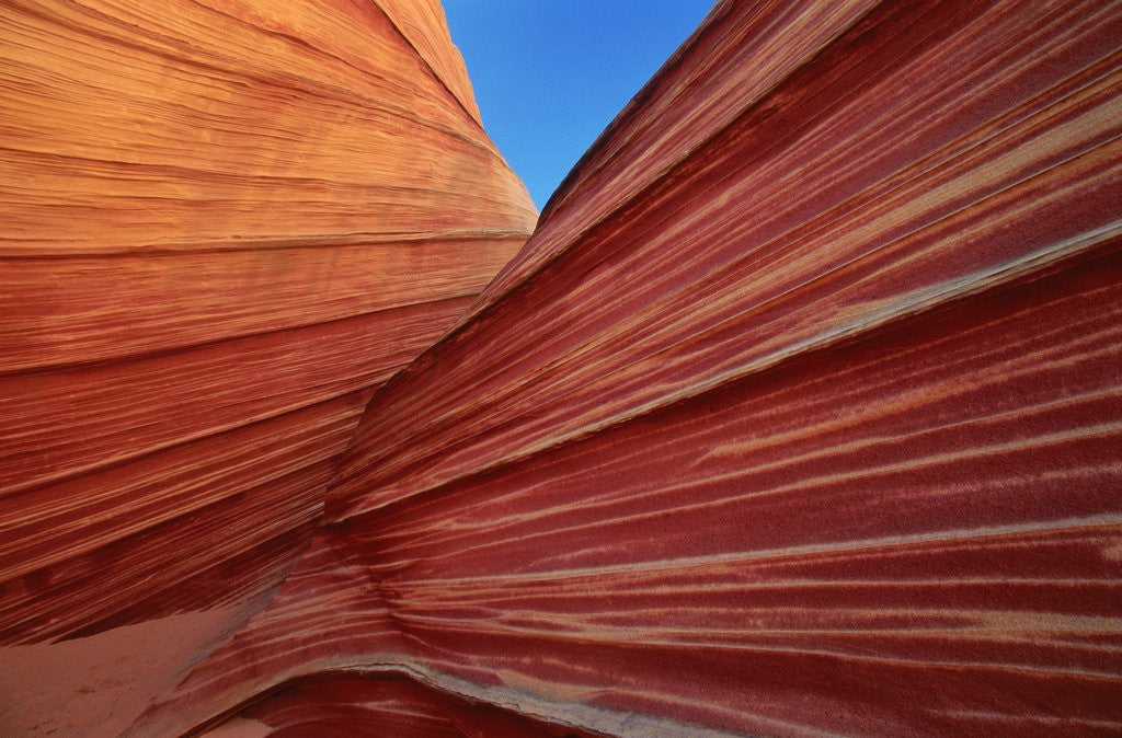 Detail of Rock formation, Utah, USA by Anonymous