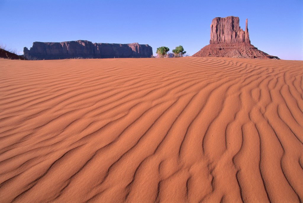 Detail of Butte in desert, Monument Valley, Arizona, USA by Corbis