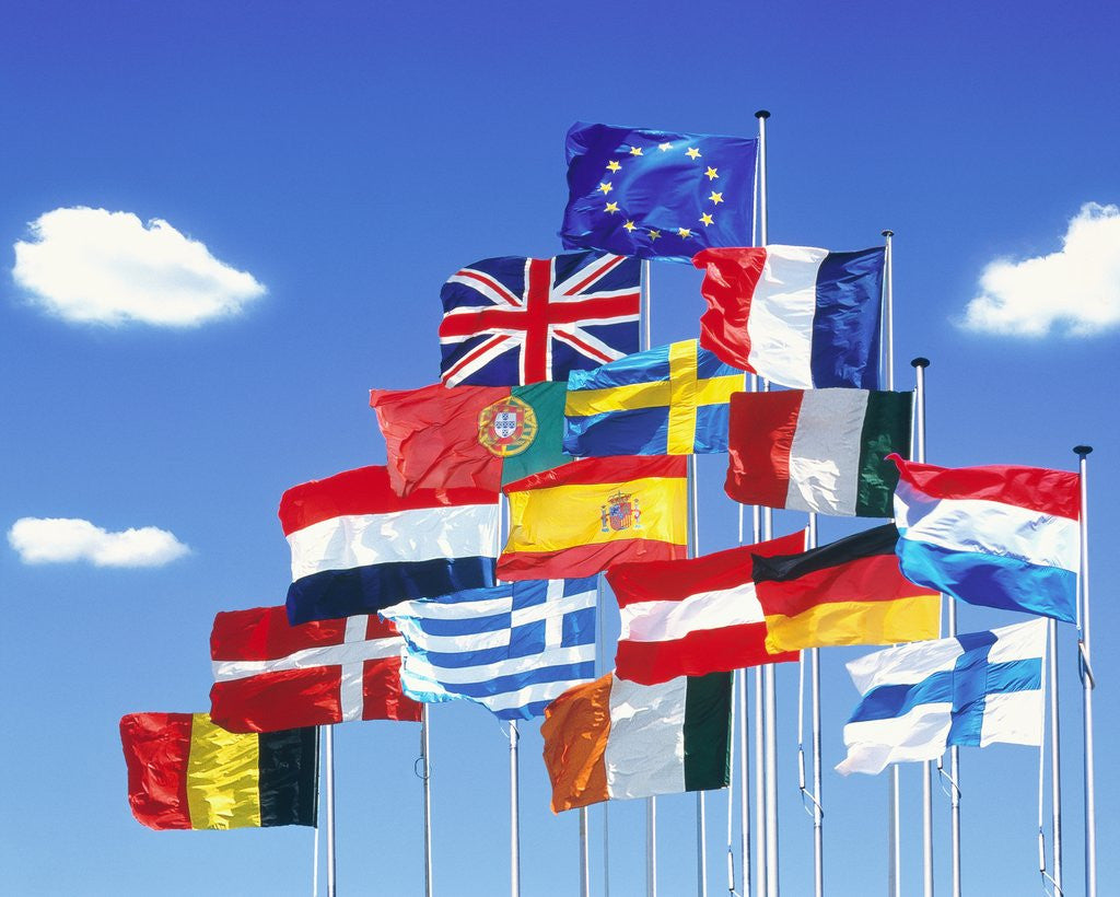 Detail of National Flags of the European Union by Anonymous