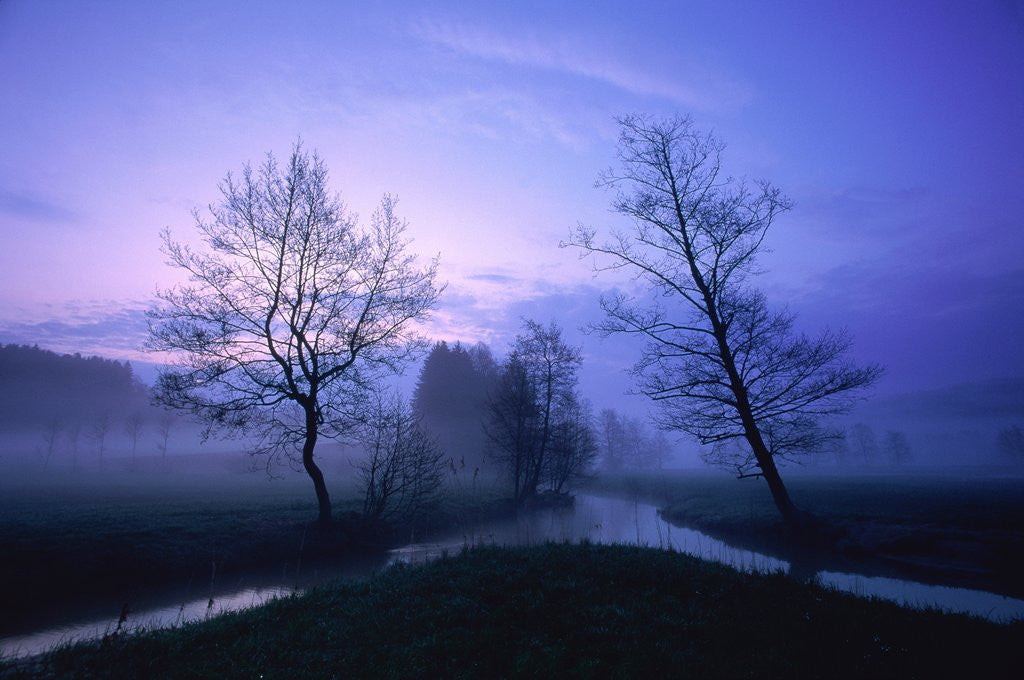 Detail of Misty river and forest at dusk, Baden-Wuerttemberg, Germany by Corbis