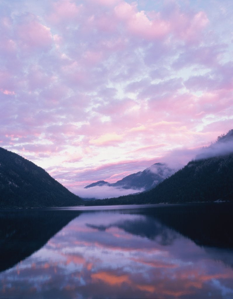 Detail of Lake and misty mountains at sunset, Allgau, Germany by Anonymous