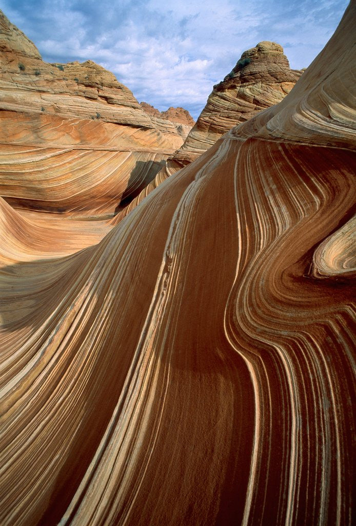 Detail of Rock formation in the Paria Canyon, Utah by Anonymous