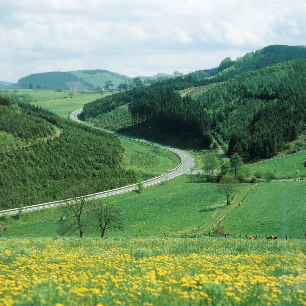 Detail of Landscape and country road in the Sauerland, Germany by Corbis
