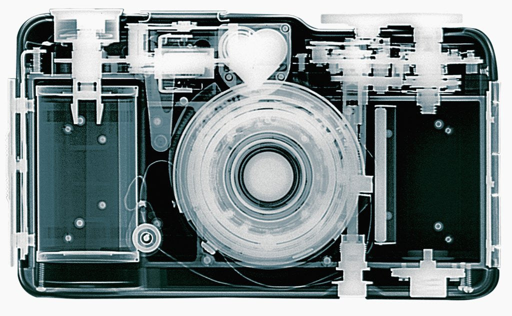 Detail of X-ray of Camera by Anonymous