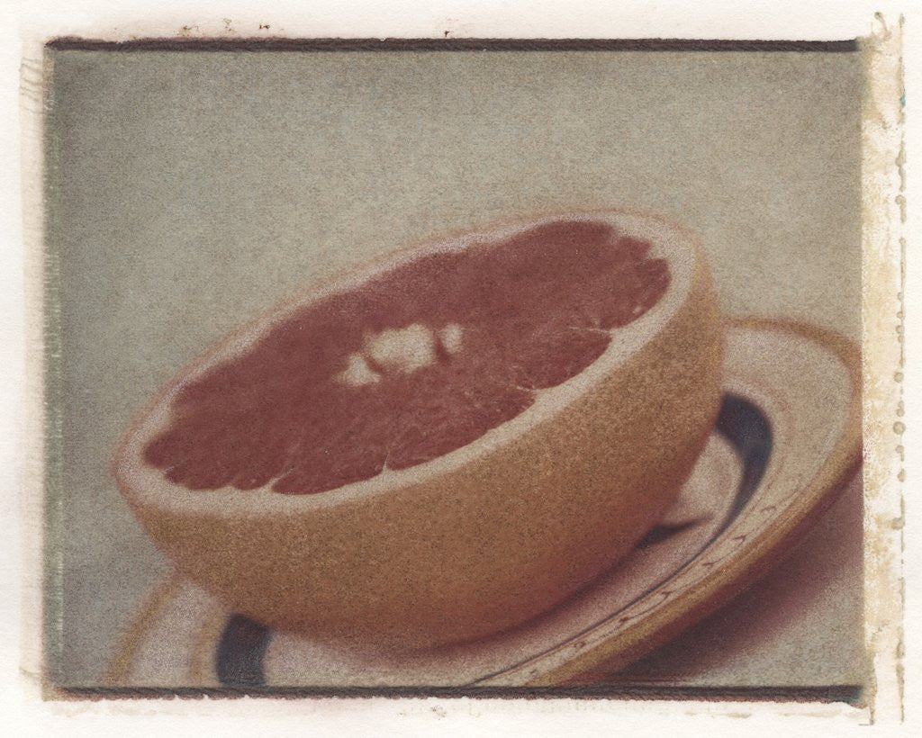 Detail of Grapefruit by Jennifer Kennard