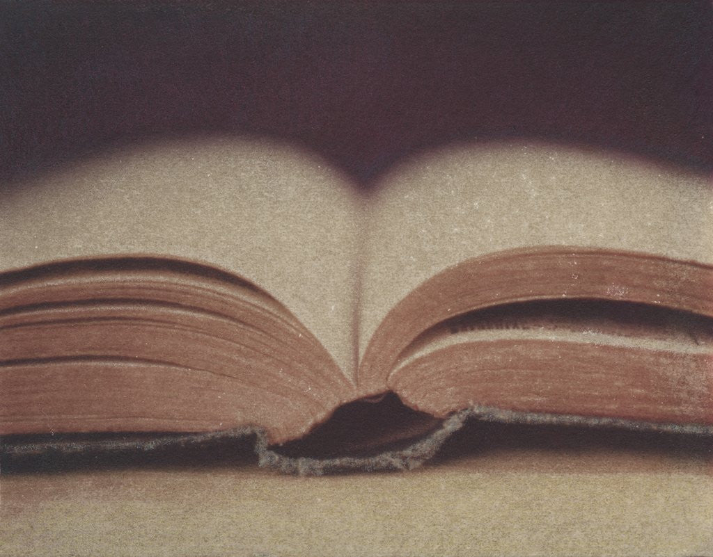 Detail of Open Book 11 by Jennifer Kennard