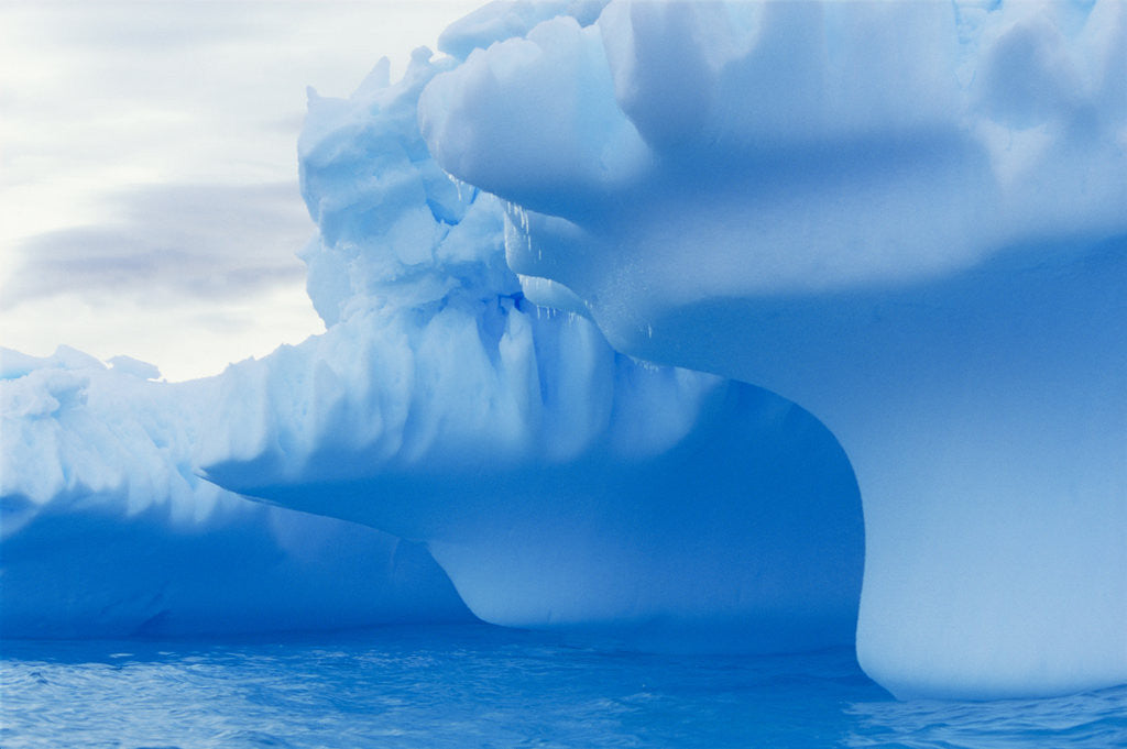 Detail of Iceberg by Anonymous