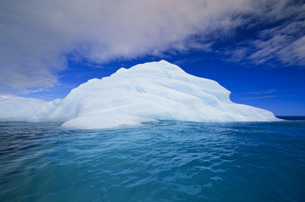 Detail of Iceberg by Corbis