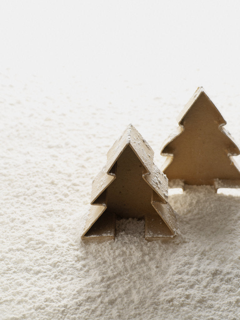 Detail of Christmas decoration by Corbis