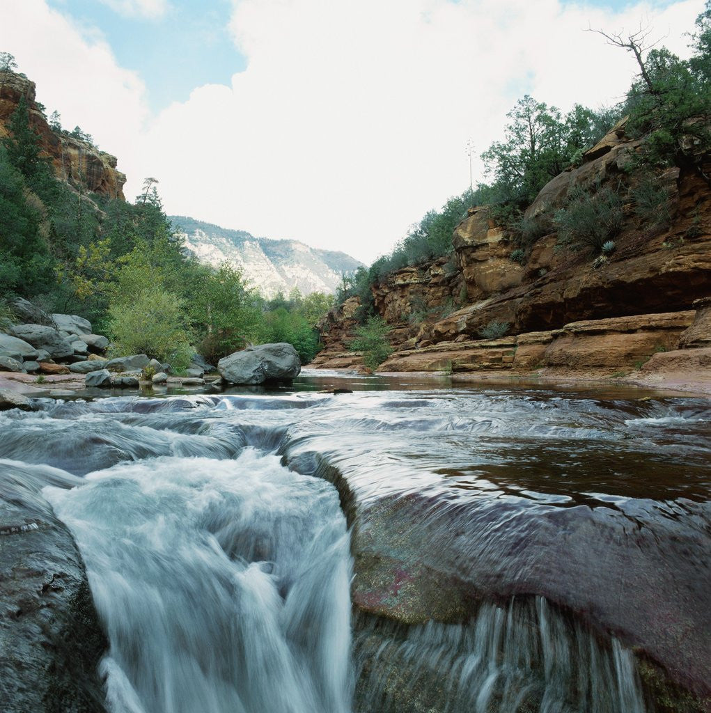 Detail of Low angle view of stream running through rural setting by Anonymous