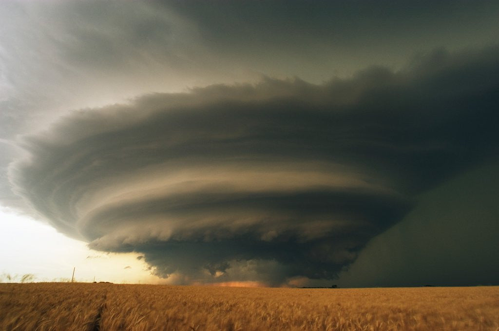 Detail of Supercell and Wheat Field by Anonymous
