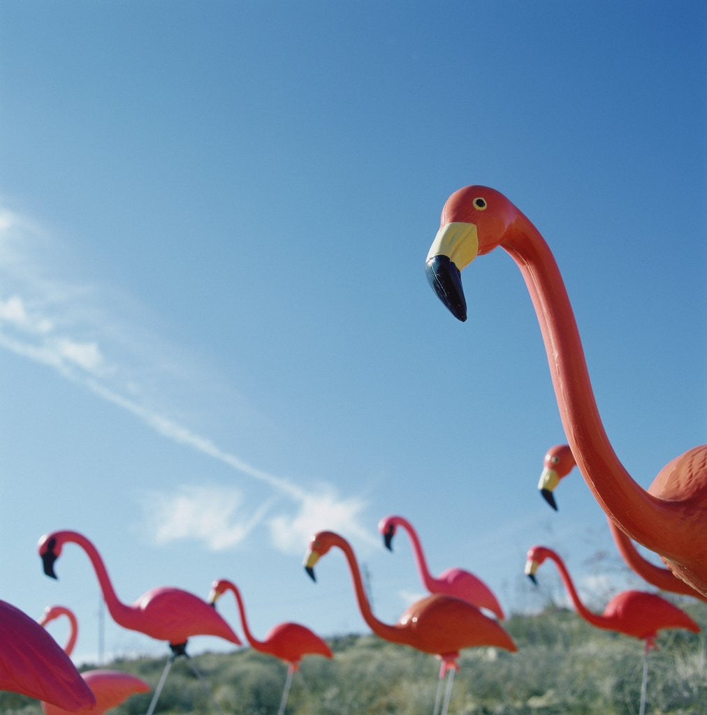 Detail of Pink flamingo lawn ornaments by Anonymous