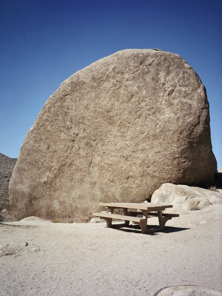 Detail of Rock in Joshua Tree National Park by Anonymous